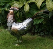 Standing Cockerel